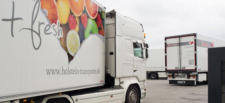 holstein transporte leistungen